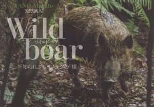 写真集 Wild boar 知られざるイノシシの「棲」