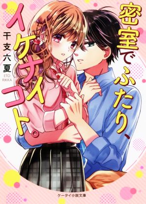 密室でふたり、イケナイコト。 ケータイ小説文庫