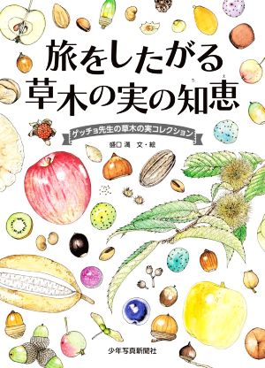 旅をしたがる草木の実の知恵 ゲッチョ先生の草木の実コレクション