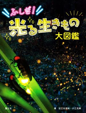 ふしぎ！光る生きもの大図鑑