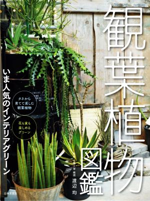 観葉植物図鑑 いま人気のインテリアグリーン