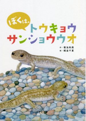 ぼくは、トウキョウサンショウウオ