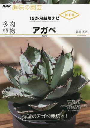 趣味の園芸 多肉植物アガベNHK趣味の園芸 12か月栽培ナビNEO