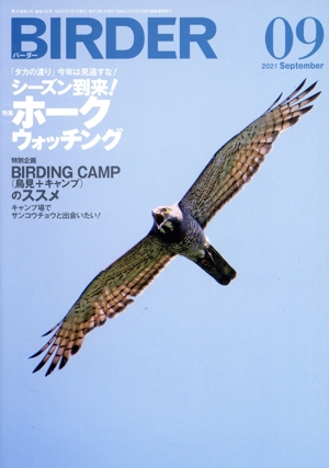 BIRDER(2021年9月号) 月刊誌