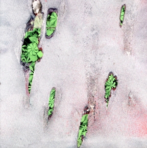 【輸入盤】Agor