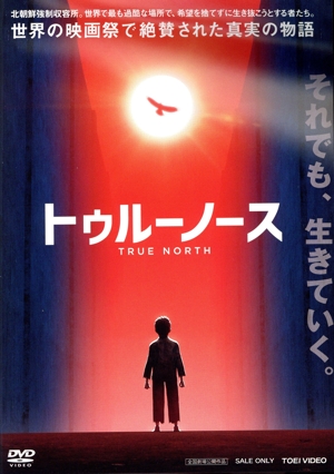 トゥルーノース