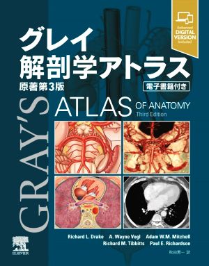 グレイ 解剖学アトラス 原著第3版