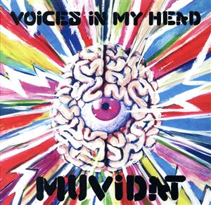 VOICES IN MY HEAD