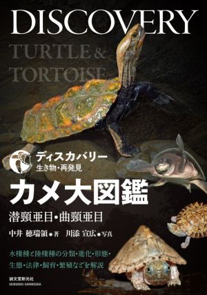 カメ大図鑑 潜頸亜目・曲頸亜目 水棲種と陸棲種の分類・進化・形態・生態・法律・飼育・繁殖などを解説 ディスカバリー生き物・再発見