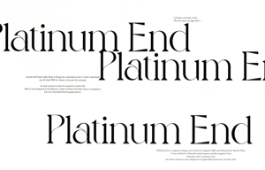 プラチナエンド2