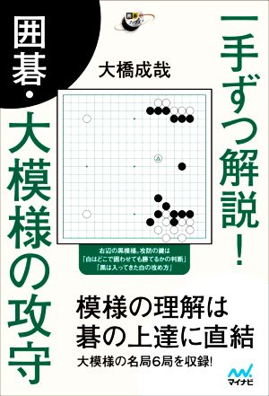 一手ずつ解説！囲碁・大模様の攻守 囲碁人ブックス