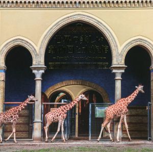 世界の美しい動物園と水族館