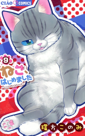 Amazon.co.jp: ねこノート コミック 1-3巻セット (マーガレット