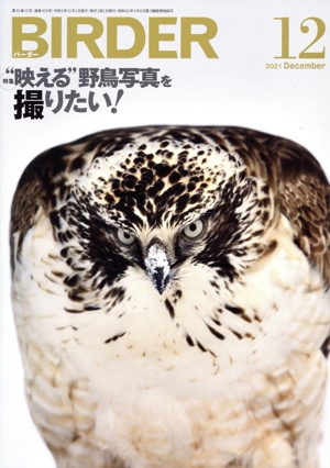 BIRDER(2021年12月号) 月刊誌