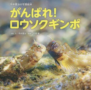 がんばれ！ロウソクギンボ 今井寛治の写真絵本