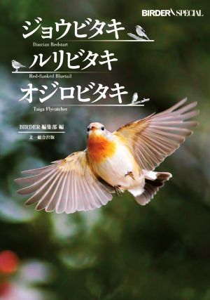 ジョウビタキ・ルリビタキ・オジロビタキBIRDER SPECIAL