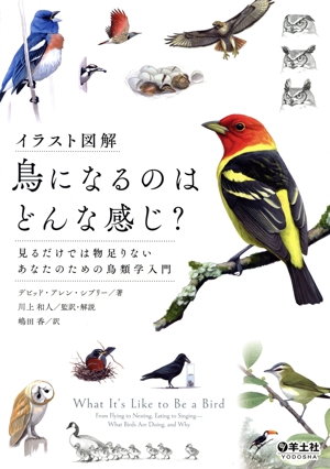 イラスト図解 鳥になるのはどんな感じ？ 見るだけでは物足りないあなたのための鳥類学入門