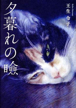 夕暮れの瞼王生令子歌集塔21世紀叢書