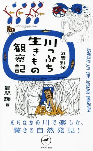 武蔵野発 川っぷち生きもの観察記 まちなかの川で楽しむ、驚きの自然発見！ ヤマケイ新書