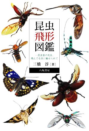 昆虫飛形図鑑 昆虫食の先生、飛んでる虫に魅せられて