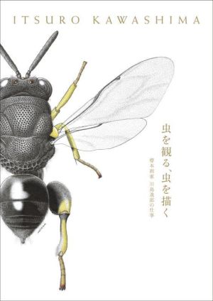 虫を観る、虫を描く標本画家川島逸郎の仕事