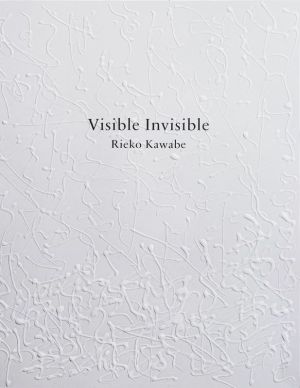 Visible Invisible