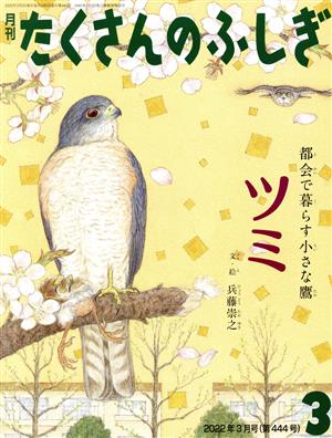 月刊たくさんのふしぎ(3 2022年3月号) 月刊誌