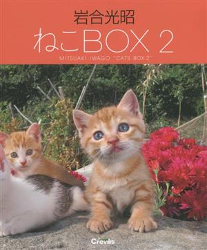 写真集 岩合光昭 ねこBOX 4巻セット(2)