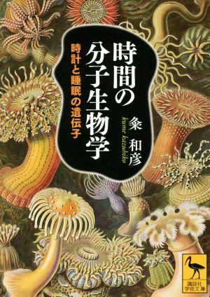 時間の分子生物学 時計と睡眠の遺伝子 講談社学術文庫