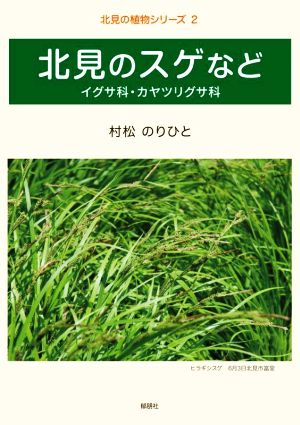 北見のスゲなど イグサ科・カヤツリグサ科 北見の植物シリーズ2