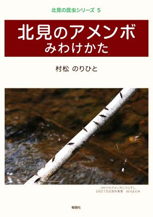 北見のアメンボ みわけかた 北見の昆虫シリーズ5