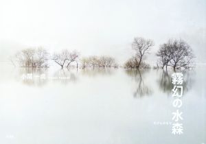 霧幻の水森