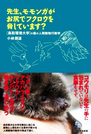 先生、モモンガがお尻でフクロウを脅しています？ [鳥取環境大学]の森の人間動物行動学