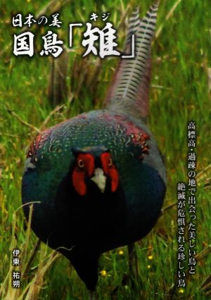 日本の美国鳥「雉」 高標高・過疎の地で出会った美しい鳥と絶滅が危惧される珍しい鳥