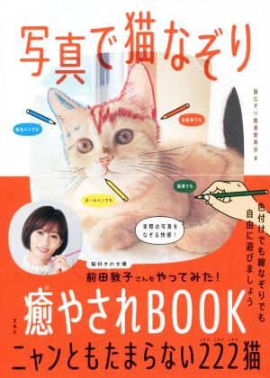 写真で猫なぞり 癒やされBOOK ニャンともたまらない222猫