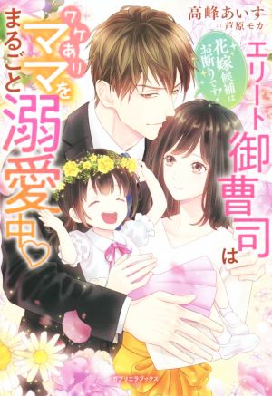 花嫁候補はお断りです！ エリート御曹司はワケありママをまるごと溺愛中 ガブリエラブックス