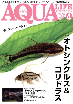 AQUA LIFE(No.513 2022年4月号) 月刊誌