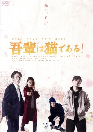 吾輩は猫である！