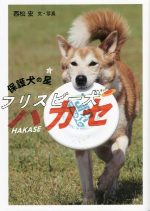 保護犬の星 フリスビー犬 ハカセ