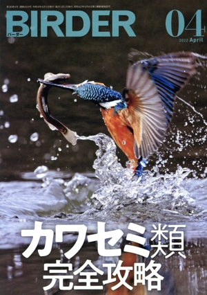 BIRDER(2022年4月号) 月刊誌