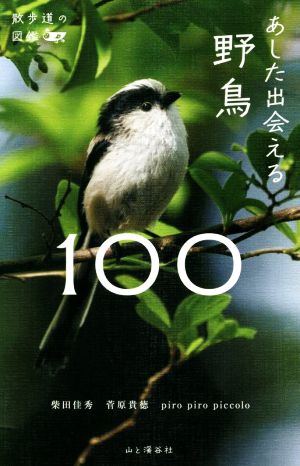 あした出会える野鳥100 散歩道の図鑑