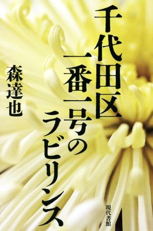 千代田区一番一号のラビリンス