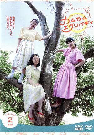 連続テレビ小説 カムカムエヴリバディ 完全版 DVD-BOX2