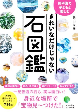 きれいなだけじゃない石図鑑 川や海で子どもと楽しむ ビジュアルだいわ文庫