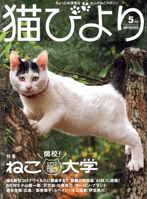 猫びより(No.123 2022年5月号) 隔月刊誌