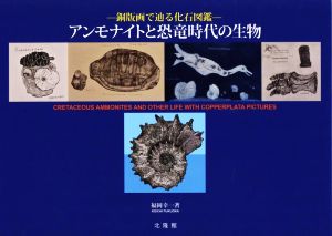 銅版画で辿る化石図鑑 アンモナイトと恐竜時代の生物