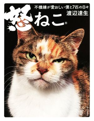 写真集 怒ねこ 不機嫌が愛おしい僕と7匹の日々