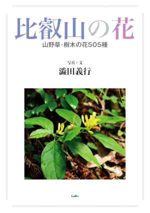 比叡山の花 山野草・樹木の花505種