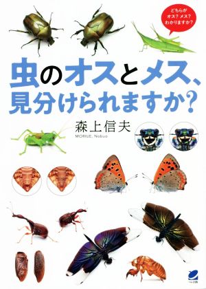 虫のオスとメス、見分けられますか？