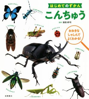 こんちゅう おおきなしゃしんでよくわかる！ はじめてのずかん